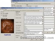 MB Free Chinese Zodiac and Star Signs Software screenshot